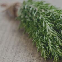 Load image into Gallery viewer, Rosemary