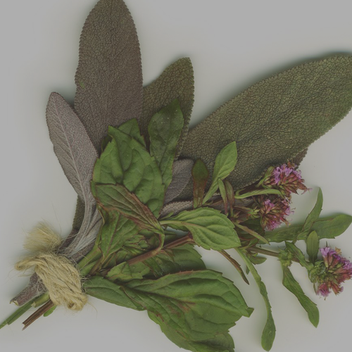 Neapolitan Herb