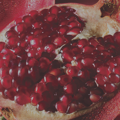 Pomegranate