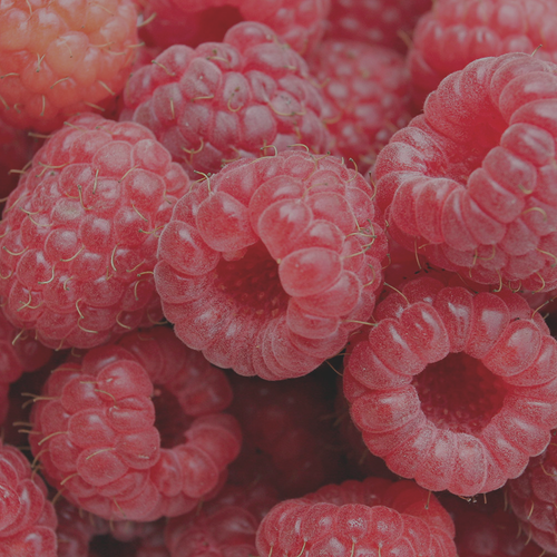 Raspberry